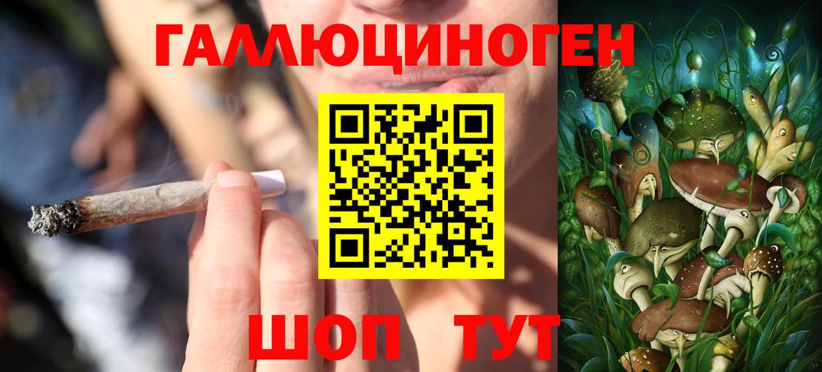 Галлюциногенные грибы Cubensis Вышний Волочёк